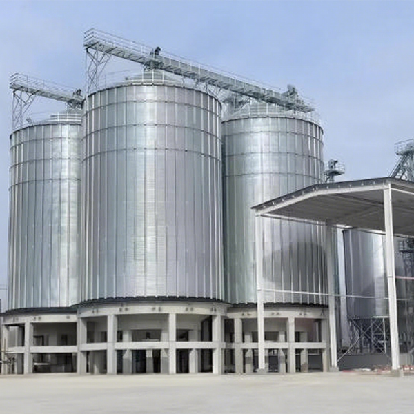 科技賦能糧食安全：錐底倉創新設計破解儲糧難題